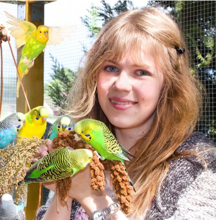 Vögel