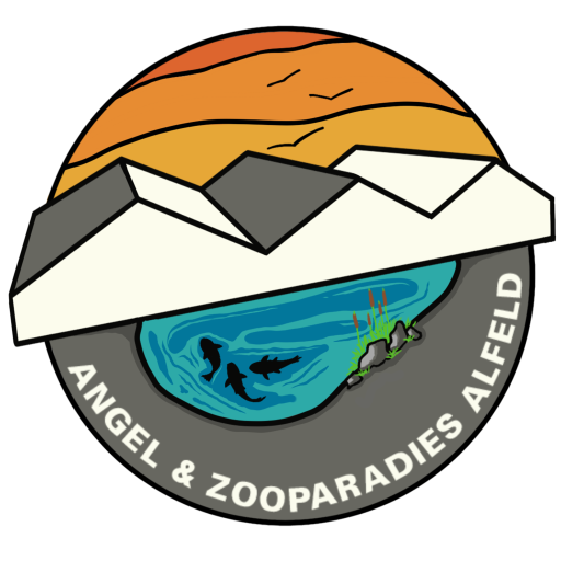 cropped-AZP-Alfeld-Logo-PNG.png